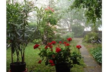 Hungrie Privát Eger, Extérieur